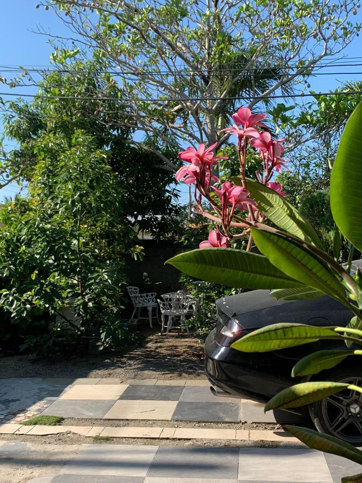 Cerca De Aeropuerto , Bleseed House Monte Adentro  Ngoại thất bức ảnh